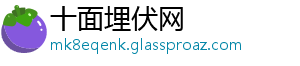 十面埋伏网